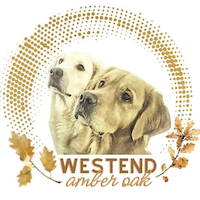 Westend Amber Oak